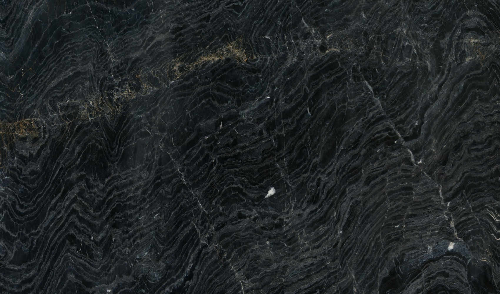 Fusion Black