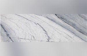 Fusion Grey Marble