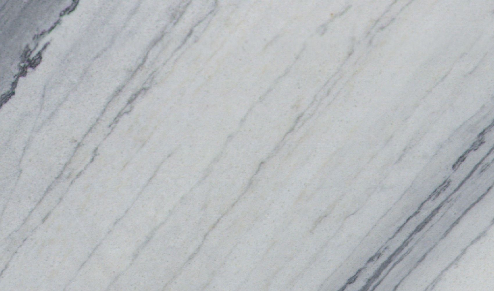 Fusion White