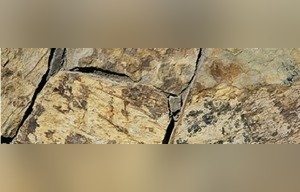 Gaither Brown Schist