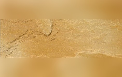 Gaja Gold Quartzite