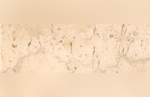 Galilee Buff Limestone