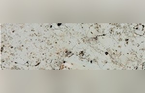 Gasell Limestone