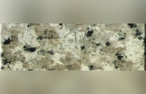 Gastrodia White Granite