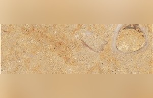 Giallo Etrusco Marble