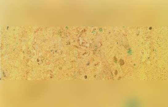 Giallo Mediterranean Limestone