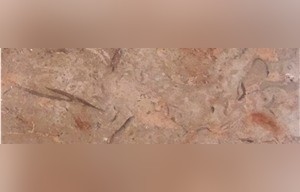 Gold Africa Marble