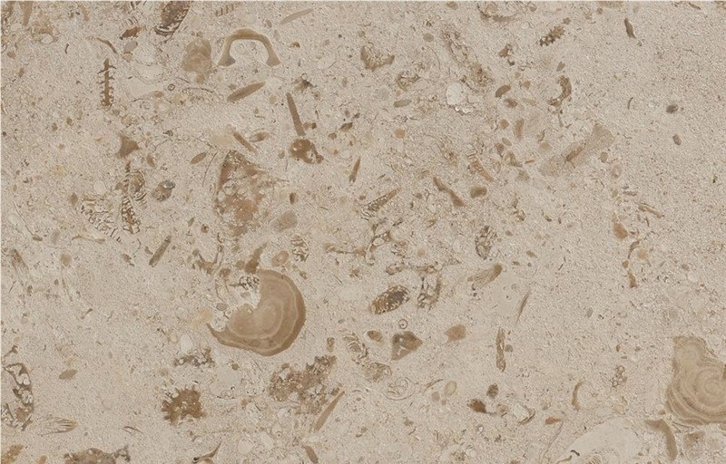 Gold Coral Limestone