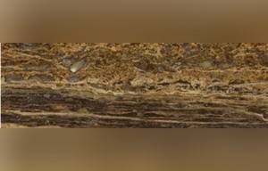 Golden Black Travertine