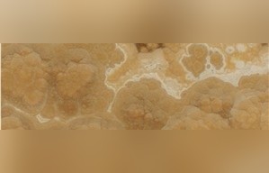 Golden Brown Onyx
