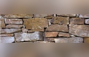 Golden Brown Schist