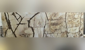 Golden Butterfly Quartzite