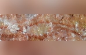 Golden Comb Alabaster