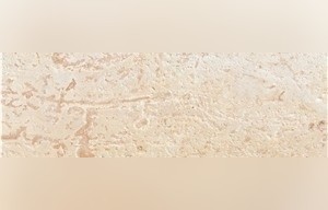 Golden Coral Stone