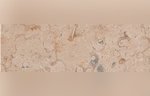 Golden Dream Marble