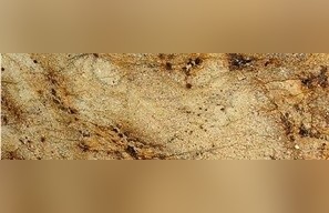 Golden Fiji Granite
