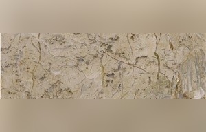 Golden Flower Limestone