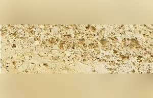 Golden Oasis Limestone