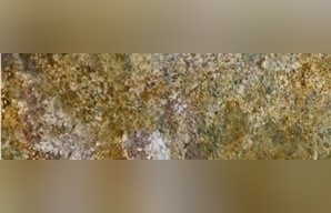 Golden Pompeii Granite