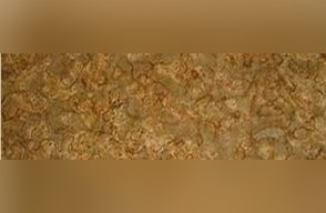 Golden Vinhal Granite