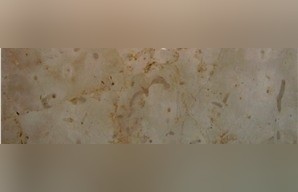 Gotic Mory Limestone