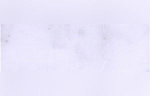 Grano De Sal Marble