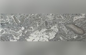 Gray Flower Marble