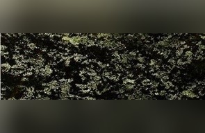 Green Bowenite Marble