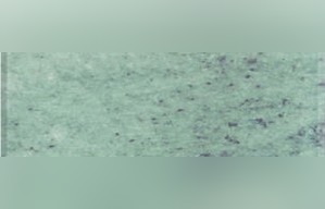 Green Pearl Marble
