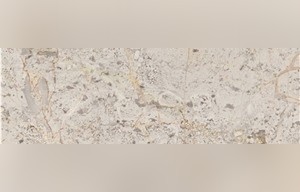 Grey Ginevra Marble