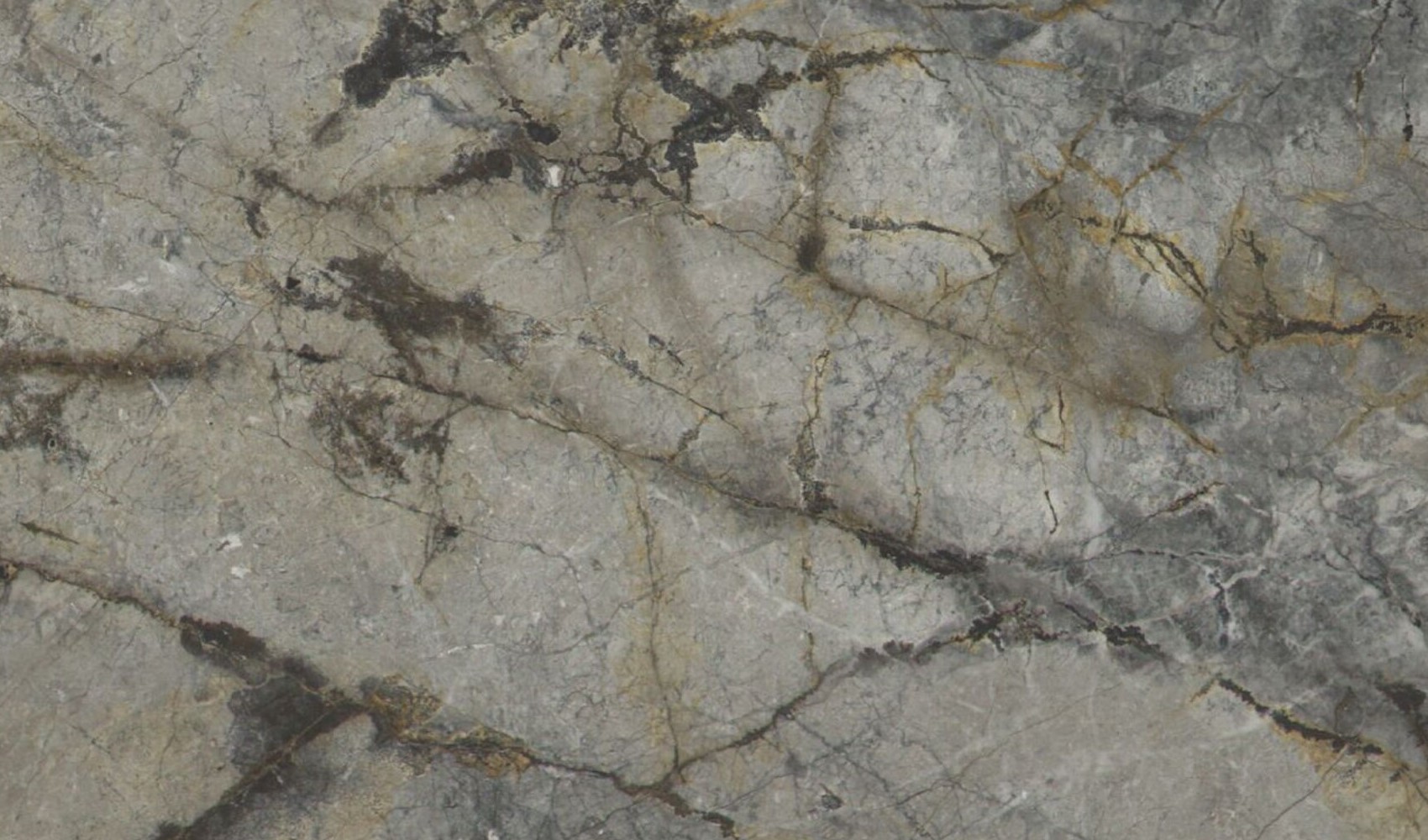 Grey Roots