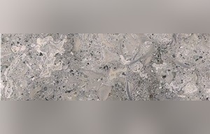 Grigio Alpi Limestone