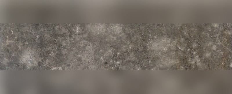 Grigio Bottarga Marble
