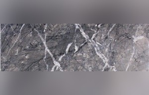 Grigio Ginari Marble