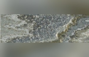 Grigio Perla Onyx