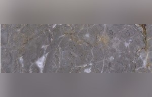 Gris Des Ardennes Marble