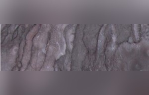 Gris Violet Marble