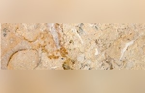 Hadrian Limestone