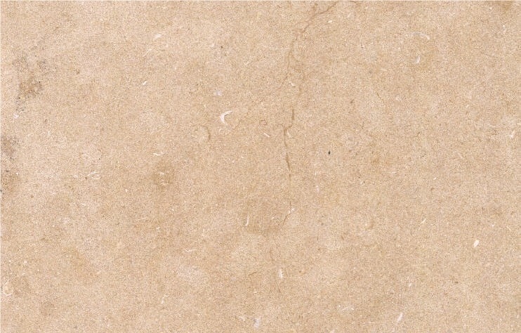 Halila Gold Limestone
