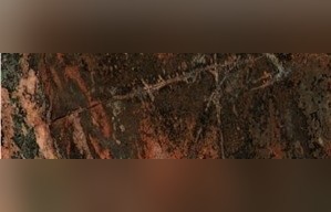 Harlequin Granite