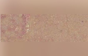 Hauteville Rose Limestone
