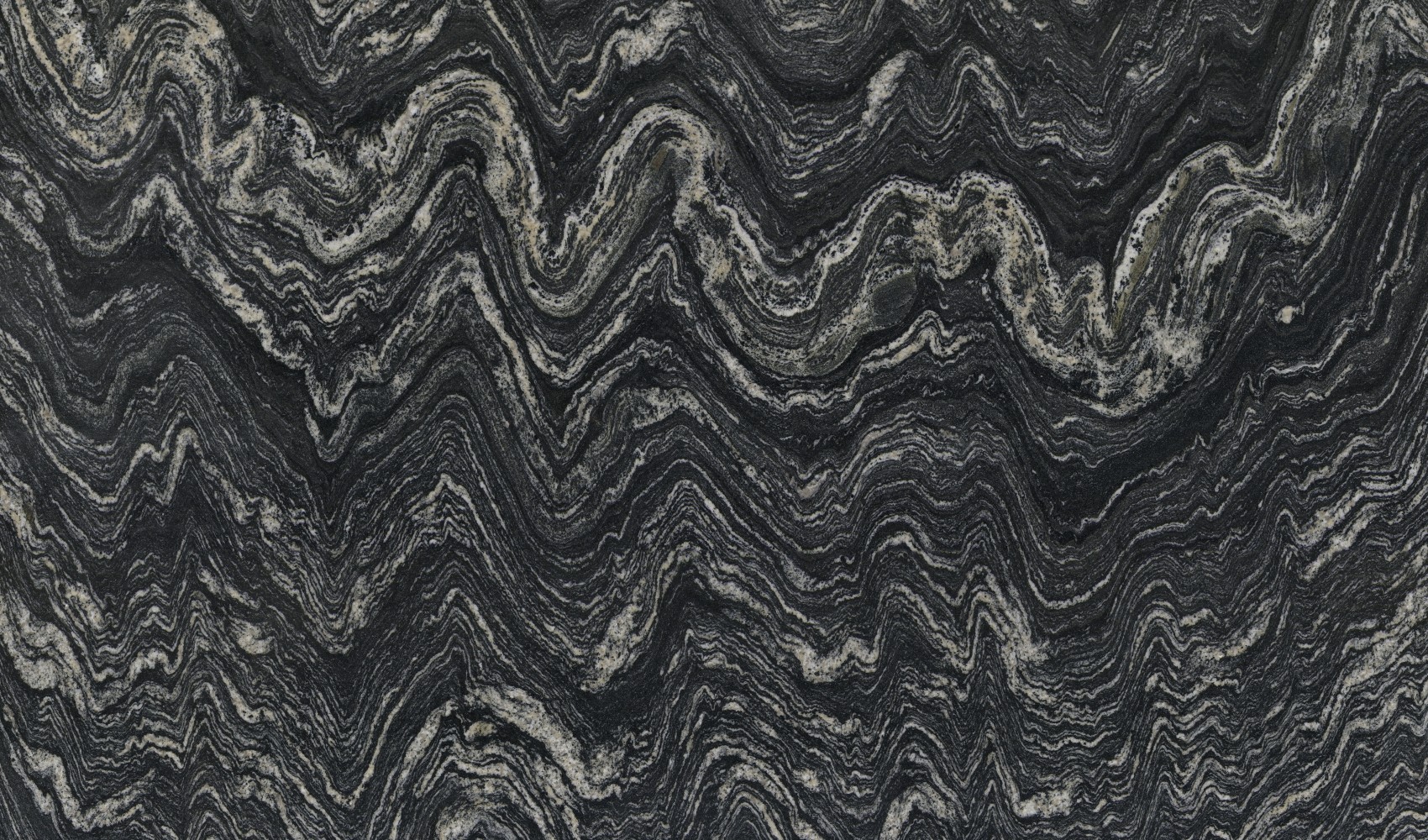 Himalayan Black
