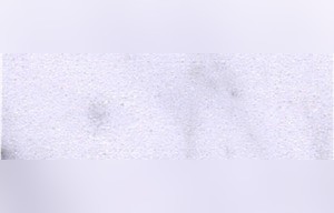 Himalayan White Marble