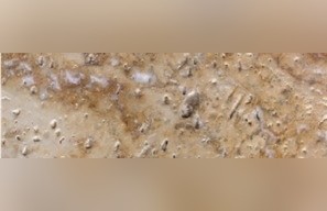 Hubei Beige Travertine