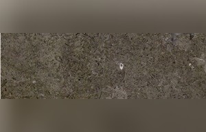 Imperial Grey Limestone