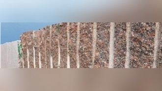 Imperial Red Granite