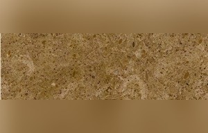 Inca Gold Limestone