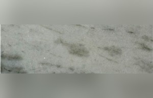 India Palissandro Marble