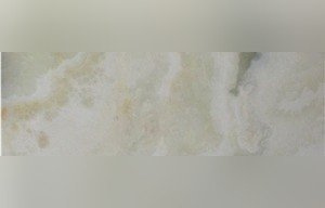 India White Onyx