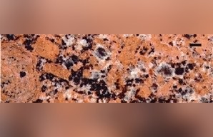Indian Sunset Granite